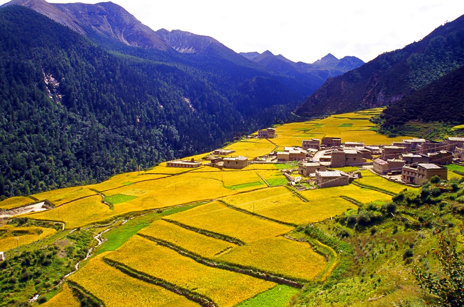 山谷中的营地帐篷，四周是荒凉的高原地形